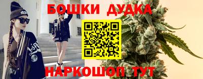 ALPHA PVP Камышлов