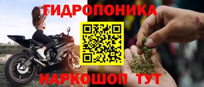 ALPHA PVP Камышлов
