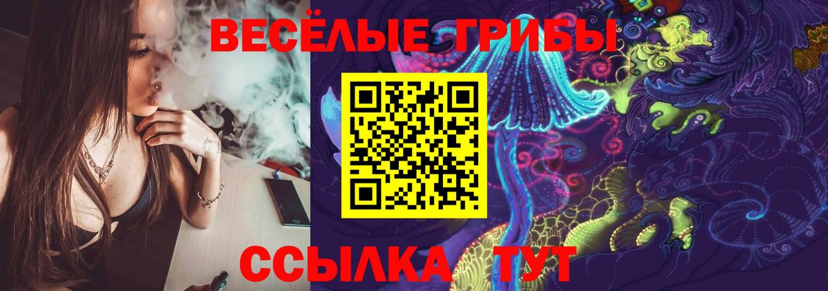 Бугуруслан  Галлюциногенные грибы Cubensis  Вход с VPN  Галлюциногенные грибы Magic Shrooms 